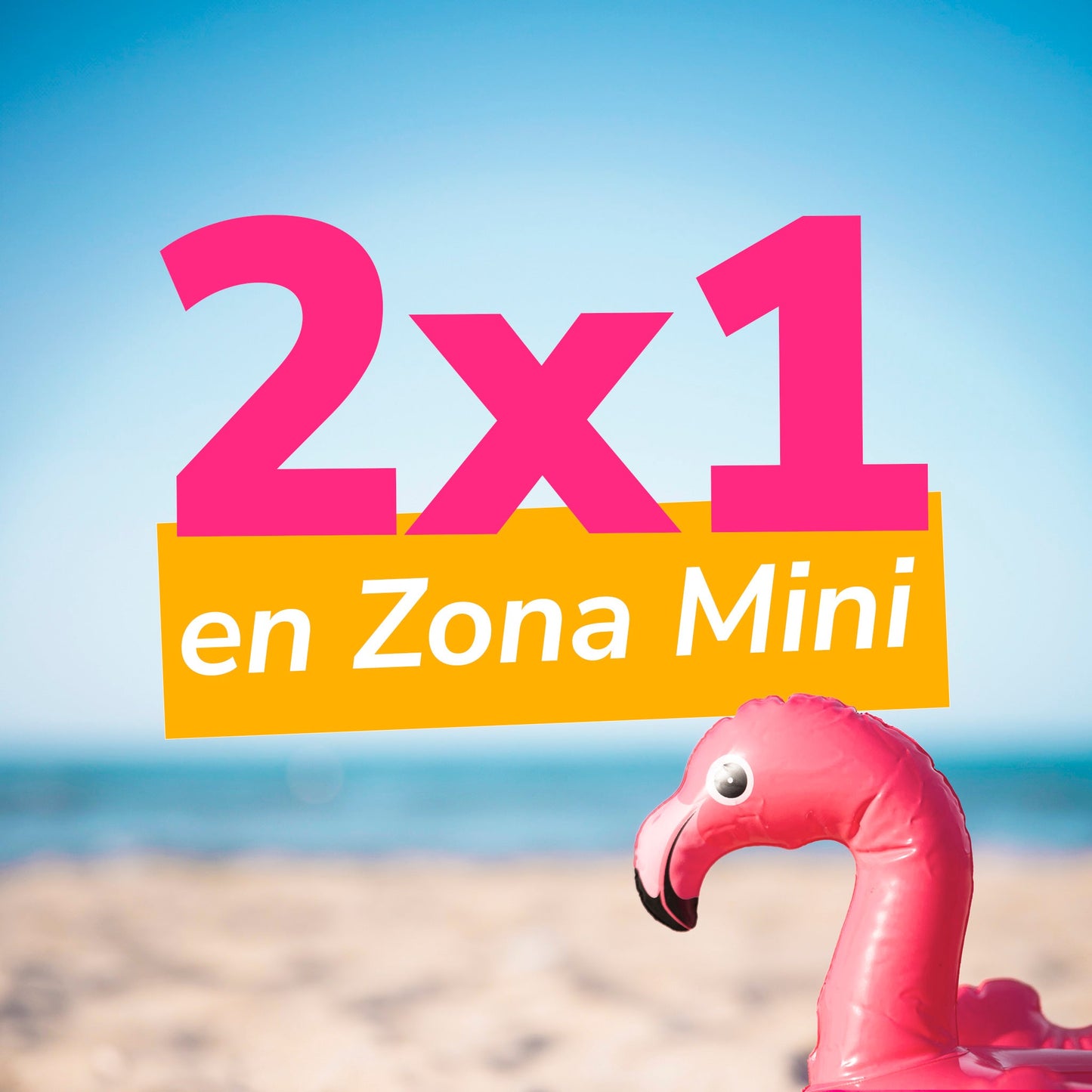 Zona Mini 2x1 Mujer