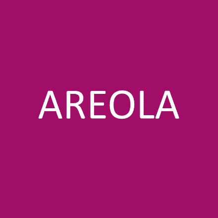 Areola